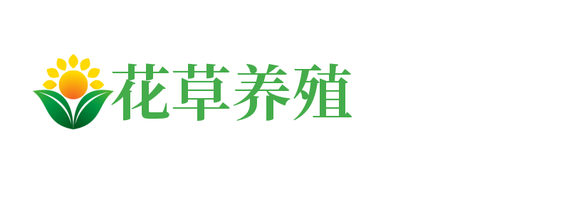 米兰(中国)体育官方网站-AC Milan